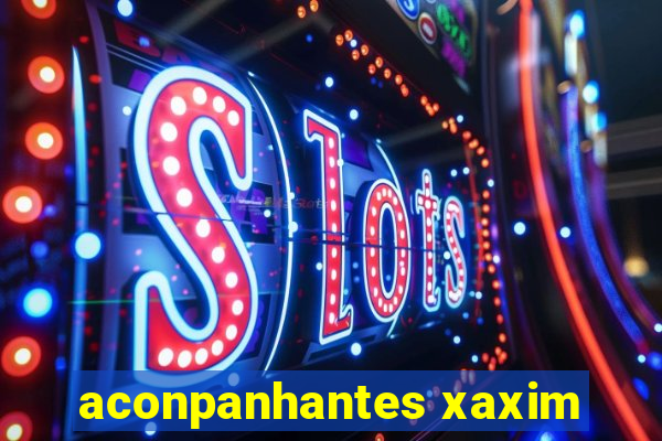 aconpanhantes xaxim